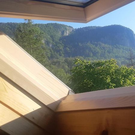 Apartma Nina Bohinj Esterno foto