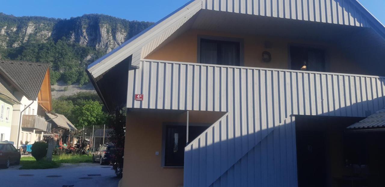 Apartma Nina Bohinj Esterno foto