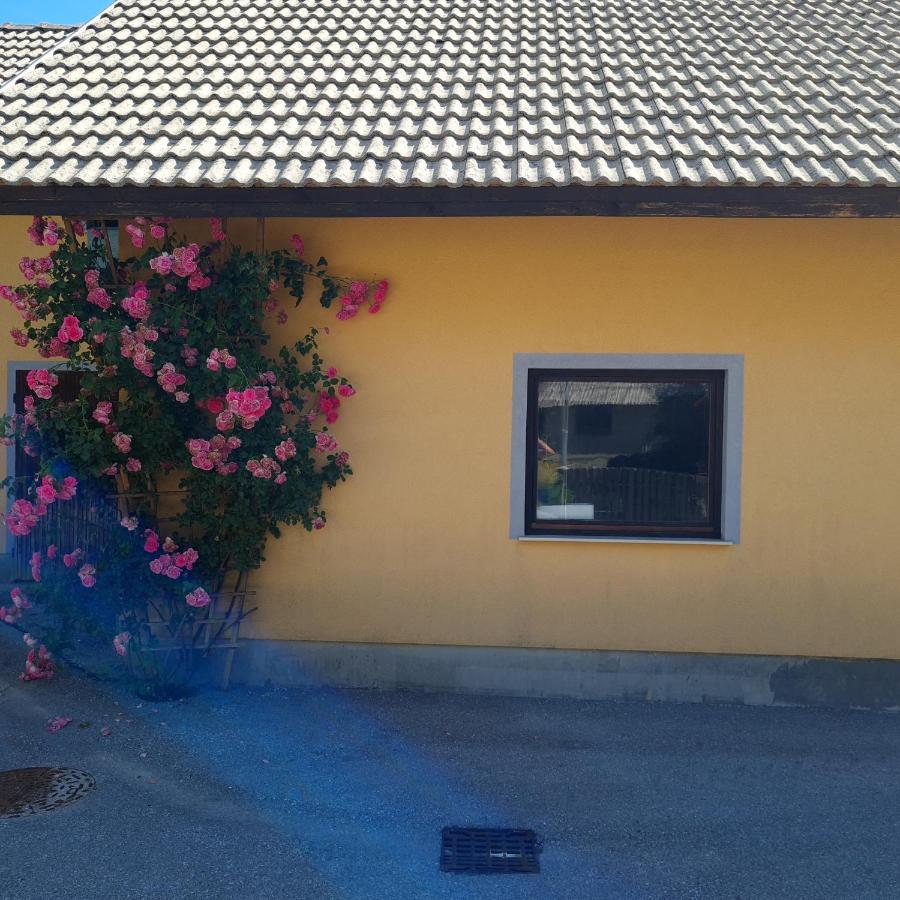 Apartma Nina Bohinj Esterno foto
